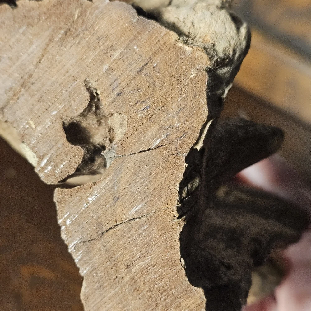 Handcrafted Drift Wood Bird Figurine - Brown